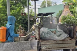 Kiểm soát chặt vận chuyển động vật đề phòng dịch tả lợn châu Phi