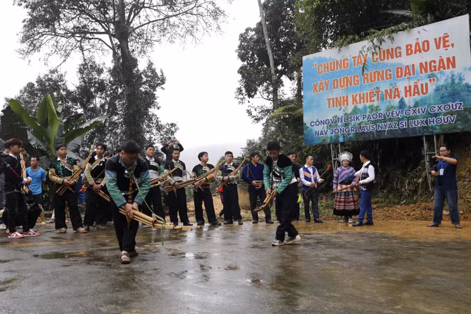cung-rung-180326.jpg