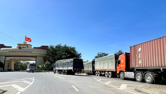 Tại Quảng Trị, trên tuyến biên giới và khu vực cửa khẩu, các lực lượng chức năng chủ động triển khai đồng bộ nhiều biện pháp nhằm ngăn chặn buôn lậu dịp cuối năm. Ảnh: Võ Dung/TTXVN