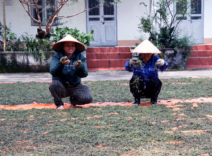 cao-bo3-120826.jpg