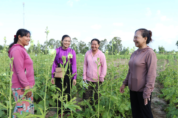 Chị Thạch Thị Chane Tha (trái) tại ấp Tân Ngại, xã Song Lộc (Vĩnh Long) được vay vốn 35 triệu đồng để đầu tư trồng trọt, cải thiện sinh kế.