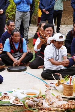 Lễ ăn mừng đầu lúa mới của đồng bào Raglai