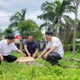 Làm rõ trách nhiệm trong vụ chặt hạ 17 cây xanh tại trụ sở UBND xã