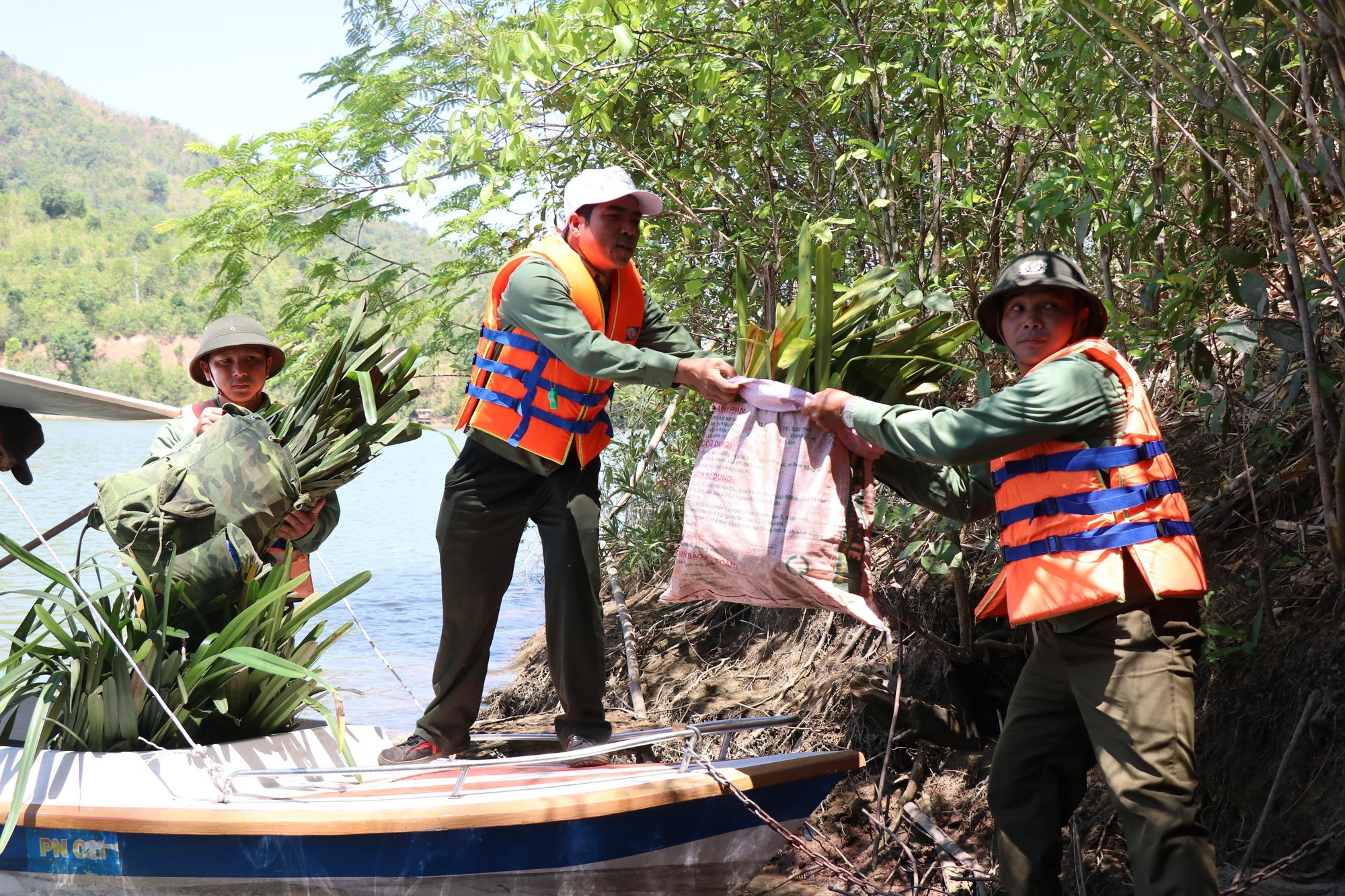 Vận chuyển lan vào khu vực rừng tự nhiên. potal-dak-lak-dua-lan-ve-rung-phuc-hoi-da-dang-sinh-hoc-rung-tu-nhien-8015724.jpg