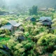 Giấc mơ trên “cổng trời” Mường Lống