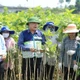 Triển khai truyền thông hướng dẫn khôi phục sản xuất sau mưa lũ