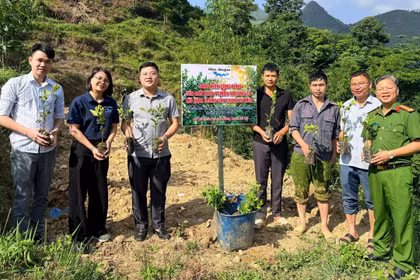 Đảng viên mở lối chuyển đổi sinh kế trên miền đá Lũng Cú