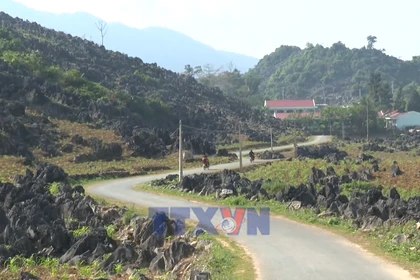 Người Mông vùng cao Điện Biên vươn lên từ nội lực