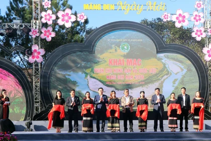 Tuần văn hóa du lịch 'Măng Đen - Sắc hồng giữa đại ngàn'
