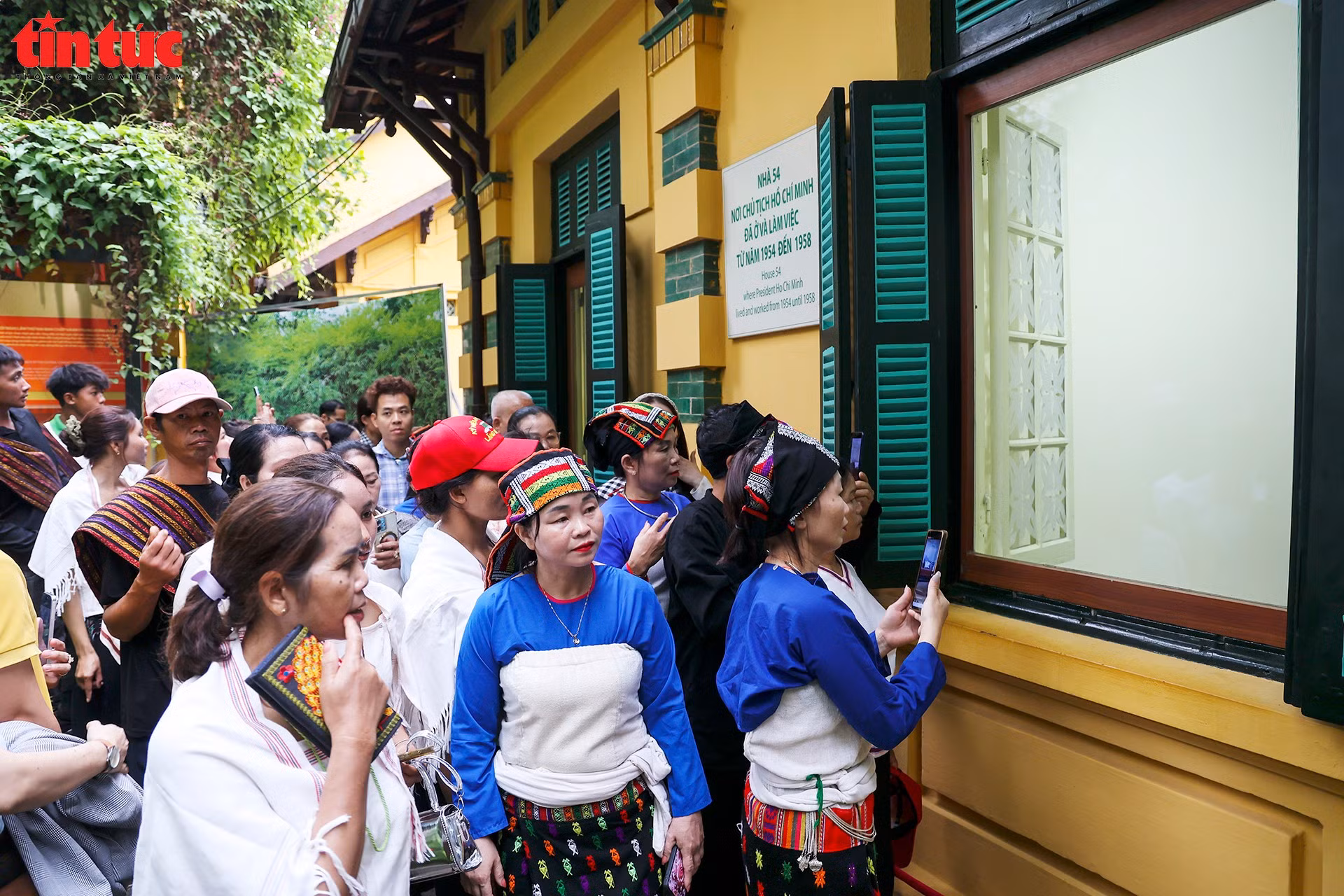 ttdt7931.jpg