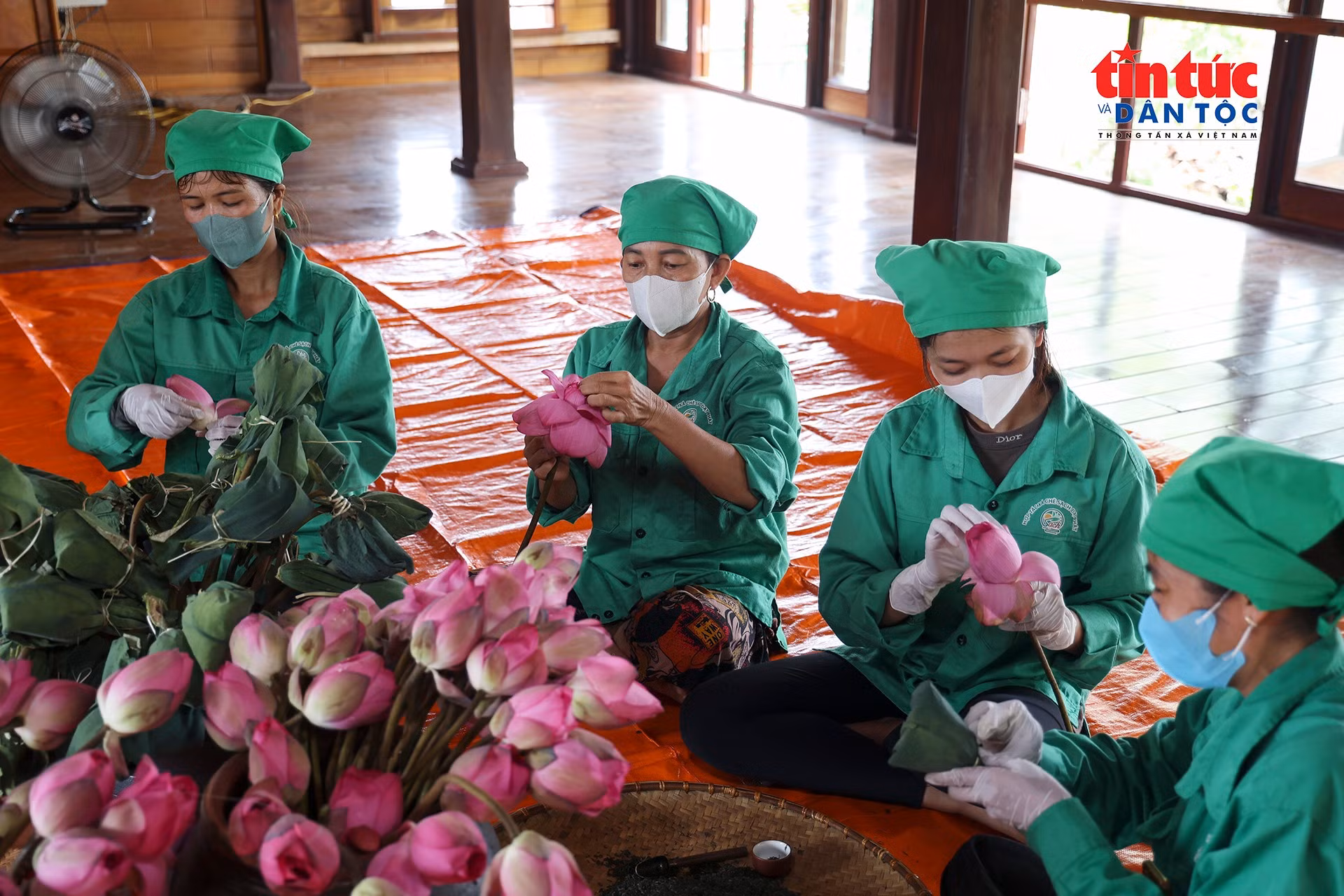 Nâng giá trị chè sạch từ sản phẩm trà sen ướp sổi