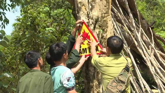 Lực lượng kiểm lâm tỉnh Thanh Hóa gắn biển, tăng cường phòng cháy rừng. Ảnh: TTXVN phát Lực lượng kiểm lâm tỉnh Thanh Hóa gắn biển, tăng cường phòng cháy rừng. Ảnh: TTXVN phát