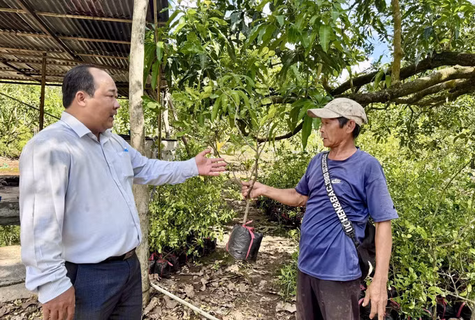 Người dân vùng Bảy Núi (An Giang) bán cây giống tạo thêm nguồn thu nhập.