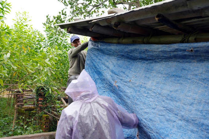 Người dân xã Đông Ngũ, tỉnh Quảng Ninh gia cố chuồng trại, che bạt chắn kín gió tránh rét cho gia súc. Ảnh: TTXVN phát