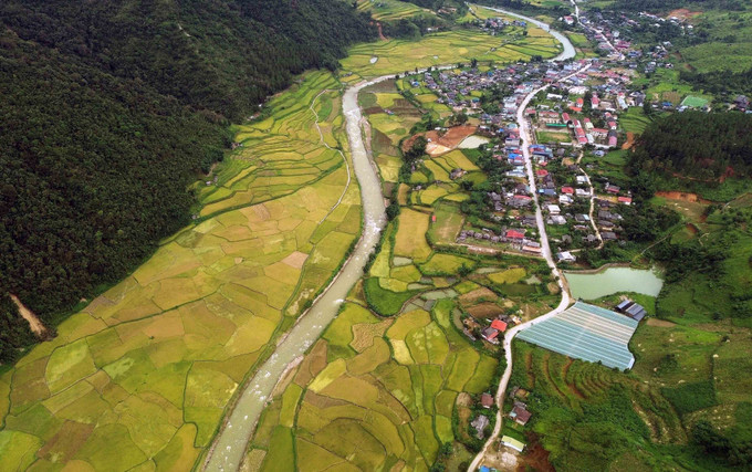 Mùa lúa chín vàng ở xã Ngọc Chiến, tỉnh Sơn La. mua-vang-son-la-1.jpg