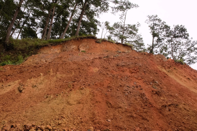 Phía đỉnh đồi thuộc taluy dương của đoạn đèo bị sạt lở hiện vẫn còn nhiều cây thông nghiêng đổ, bề mặt có nhiều vết nứt lớn có nguy cơ sạt lở tiếp. Phía đỉnh đồi thuộc taluy dương của đoạn đèo bị sạt lở hiện vẫn còn nhiều cây thông nghiêng đổ, bề mặt có nhiều vết nứt lớn có nguy cơ sạt lở tiếp.