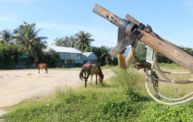 Những bến xe ngựa sầm uất thuở nào giờ chỉ còn là bãi đất trống nằm cặp Tỉnh 948, thuộc xã An Cư, tỉnh An Giang.