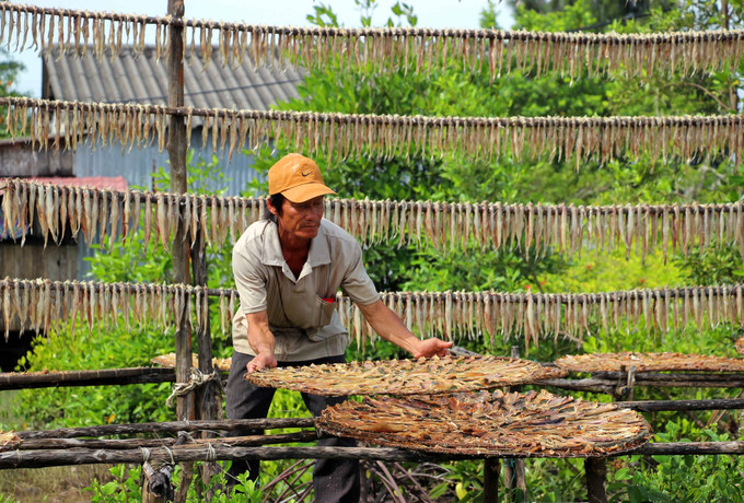 Những ngày giáp Tết Nguyên đán, không khí lao động, sản xuất tại các khu vực chế biến khô ở tỉnh Cà Mau càng trở nên nhộn nhịp, khẩn trương.