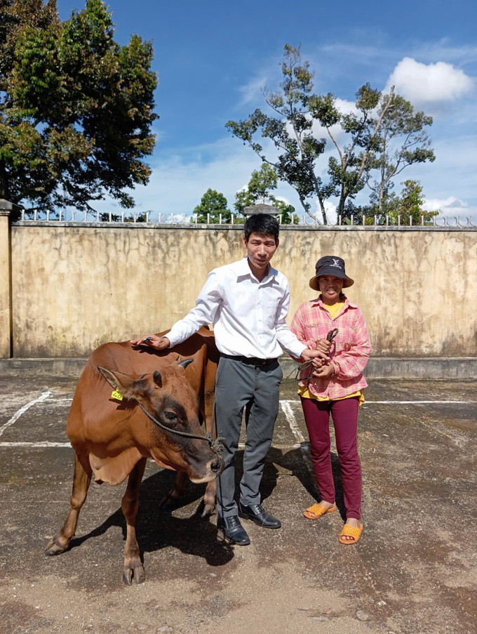 Tại xã Ia Phí, chương trình hỗ trợ sinh kế cấp 182 con bò cái sinh sản hỗ trợ người dân tộc thiểu số thoát nghèo giúp người dân ổn định cuộc sống.