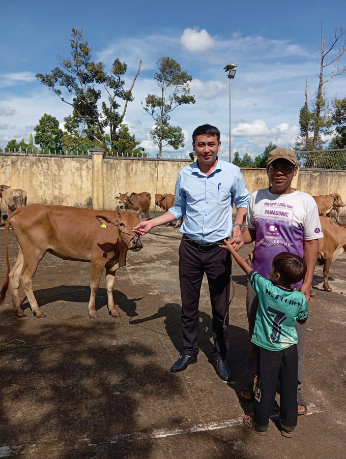 Xã Ia Rbol cấp 148 con bò sinh sản từ năm 2020-2025 giúp người dân có điều kiện phát triển kinh tế gia đình.