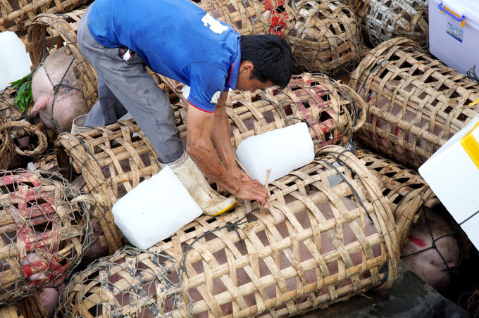 Hàng hóa, nhu yếu phẩm được tập kết lên tàu vận tải để chở ra đặc khu Lý Sơn.