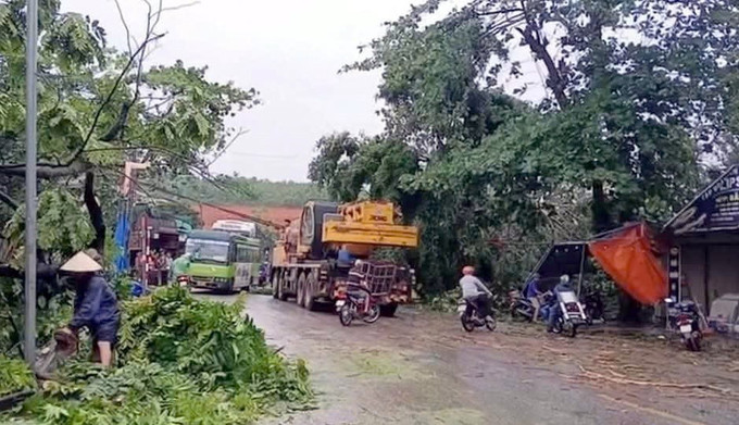 Một số điểm trên quốc lộ 2 qua Tuyên Quang bị ùn tắc do cây đổ trong mưa giông. Ảnh: TTXVN phát tuyen-quang-mua-dong.jpg