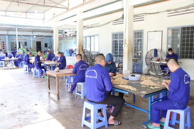 Học viên cai nghiện ma tuý thực hiện chế biến hạt điều.