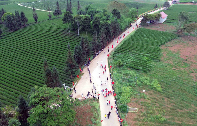 Cung đường tại giải chạy “Hành trình xanh Bình Thuận” năm 2026.