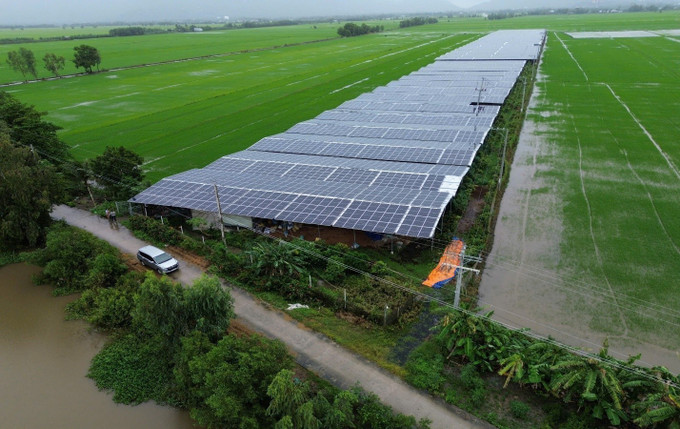 Trang trại trồng nấm sử dụng năng lượng Mặt trời của chị Nương ở xã Tà Đảnh, huyện Tri Tôn, tỉnh An Giang. Ảnh: Thanh Liêm/TTXVN netzero-rang-trai-trong-nam-1.jpg