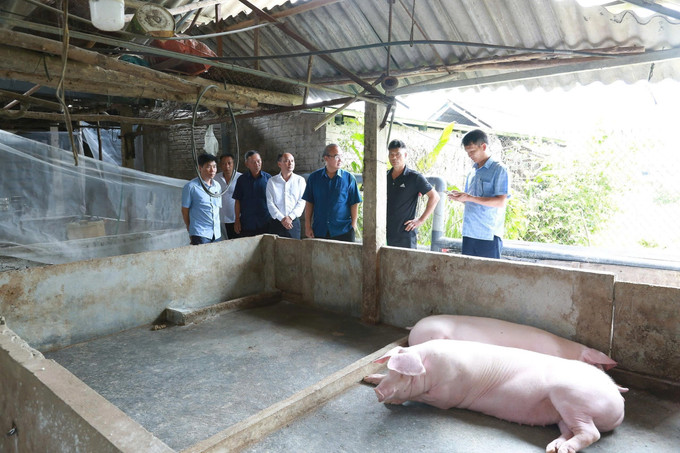 Đoàn công tác của Sở Nông nghiệp và Môi trường kiểm tra quy trình thực hiện các biện pháp phòng, chống dịch tả lợn châu Phi của người dân. Ảnh: TTXVN phát Đoàn công tác của Sở Nông nghiệp và Môi trường kiểm tra quy trình thực hiện các biện pháp phòng, chống dịch tả lợn châu Phi của người dân. Ảnh: TTXVN phát