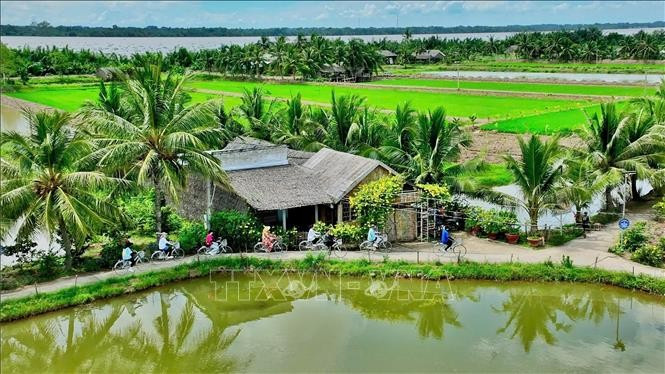 Không gian xanh tại điểm du lịch cộng đồng Cồn Chim (Châu Thành, Trà Vinh). Ảnh: TTXVN phát du-lich-cong-dong-tra-vinh.jpg