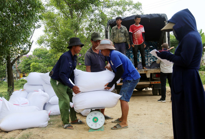 Các đơn vị cân, thu mua lúa sau thu hoạch tại xã An Thủy, huyện Lệ Thủy, Quảng Bình. Các đơn vị cân, thu mua lúa sau thu hoạch tại xã An Thủy, huyện Lệ Thủy, Quảng Bình.