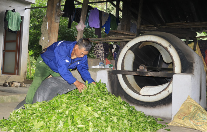 Người dân thôn Khe Năm, xã Hưng Khánh, tỉnh Lào Cai chế biến chè bằng máy sao thủ công. Ảnh: Tiến Khánh/TTXVN Người dân thôn Khe Năm, xã Hưng Khánh, tỉnh Lào Cai chế biến chè bằng máy sao thủ công. Ảnh: Tiến Khánh/TTXVN
