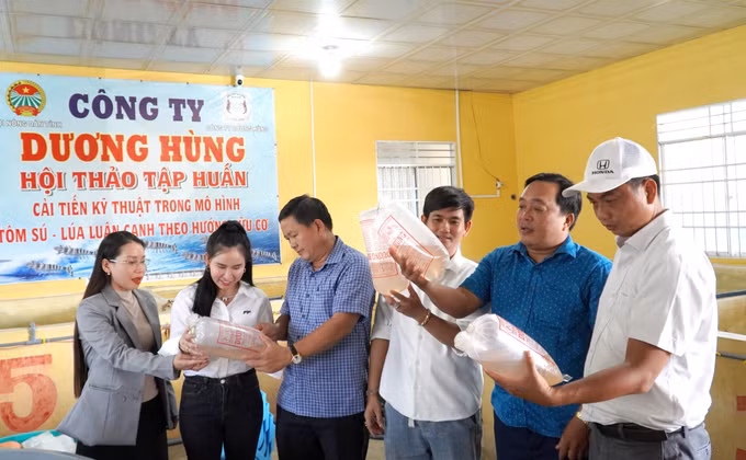 Đoàn tham quan, tìm hiểu về sản xuất cung ứng tôm giống tại chi nhánh Công ty TNHH Giống Thủy Sản Dương Hùng (xã Tân Thạnh, An Giang).