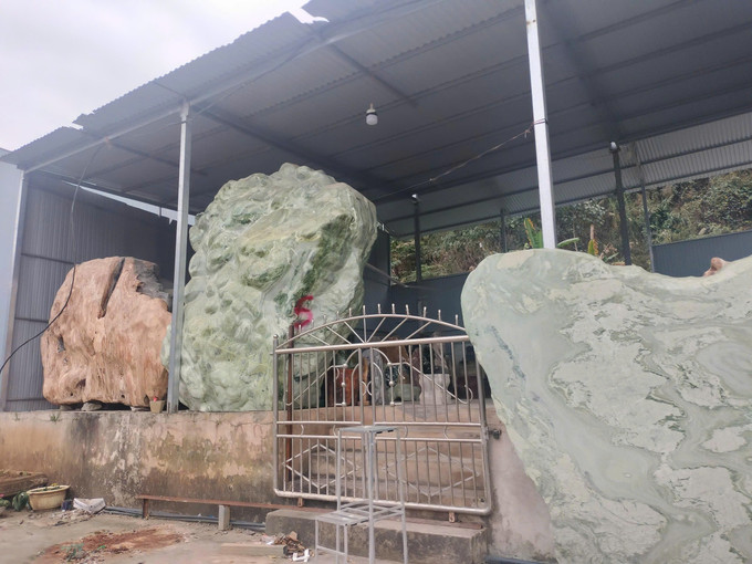 Ngoài bị tịch thu tang vật đá cảnh, mỗi cá nhân, hộ kinh doanh bị xử phạt gần 100 triệu đồng. Ảnh: TTXVN phát tang-tru-khoang-san.jpg