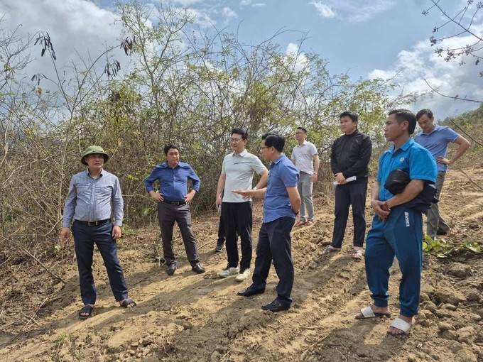 Đoàn công tác của tỉnh Nghệ An khảo sát địa điểm xây dựng trường nội trú liên cấp giai đoạn 2. Ảnh: TTXVN phát