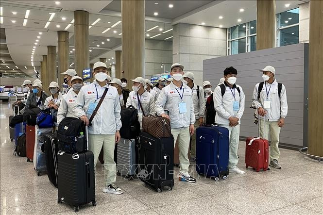 Lao động Việt Nam nhập cảnh tại sân bay Incheon (Hàn Quốc). Ảnh (tư liệu) minh họa: Anh Nguyên/TTXVN xuat-khau-lao-dong.jpg