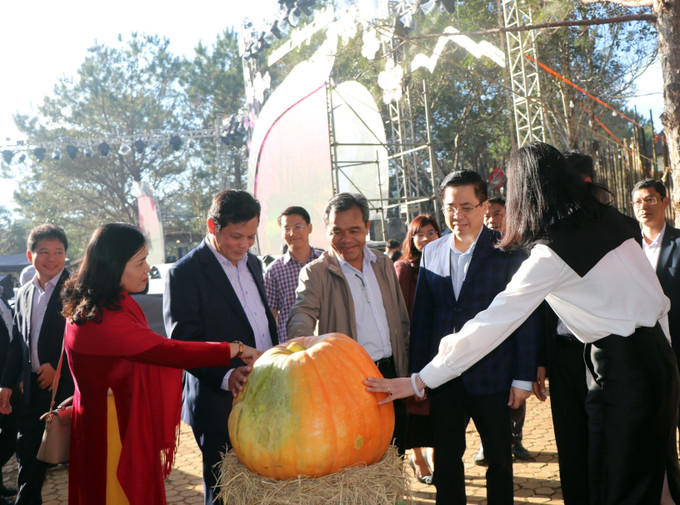 Du khách tham quan, chiêm ngưỡng quả bí ngô không lồ tại Phiên chợ Nông sản và Dược liệu. Ảnh: Cao Nguyên/TTXVN