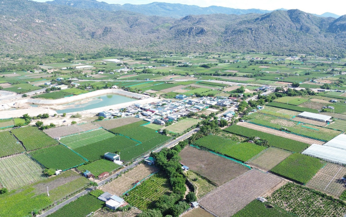 Cánh đồng trồng nho ở xã Vĩnh Hải (huyện Ninh Hải, tỉnh Ninh Thuận). Cánh đồng trồng nho ở xã Vĩnh Hải (huyện Ninh Hải, tỉnh Ninh Thuận).