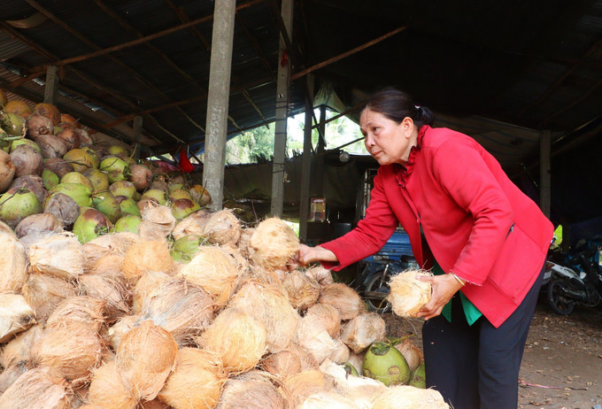 Bà Bùi Thị Huệ (xã Tân Thành Bình, tỉnh Vĩnh Long) sử dụng nguồn vốn vay từ Ngân hàng Chính sách xã hội để mở rộng quy mô kinh doanh.