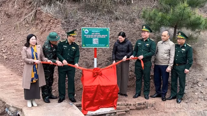 thong-tin-bien-cuong-so.jpg