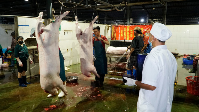 Hoạt động giết mổ lợn được giám sát chặt chẽ. Hoạt động giết mổ lợn được giám sát chặt chẽ.