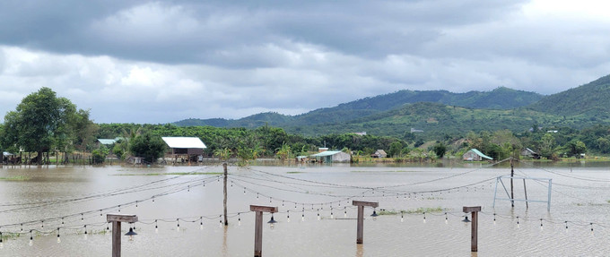Buôn Nu, xã Uar (tỉnh Gia Lai) vẫn ngập sâu trong nước sau bão số 13. Ảnh: Hoài Nam/TTXVN