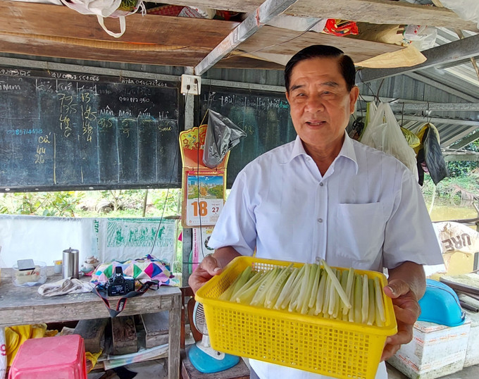 Ông Võ Việt Lâm, Chủ tịch Hội đồng quản trị, kiêm Giám đốc Hợp tác xã A Trung Đông (ấp Mỹ Phú Đông, xã Châu Thới, tỉnh Cà Mau) là người truyền cảm hứng cho nông dân địa phương về nghề trồng năn bộp phát triển kinh tế gia đình. trong-nan-bop-2.jpg