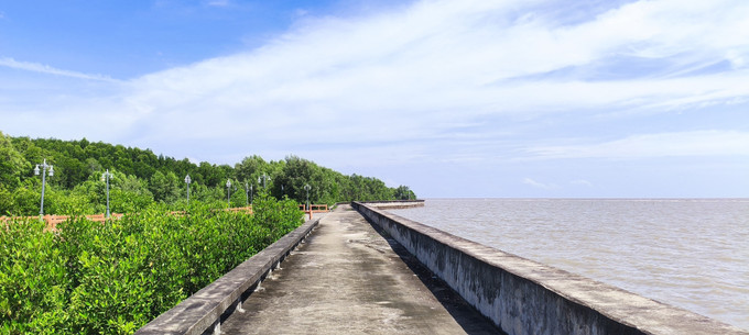 Xây dựng đê, kè và bảo vệ, trồng rừng ngập mặn là những giải pháp tổng thể, bền vững và hiệu quả đã và đang được tỉnh Cà Mau thực hiện. Xây dựng đê, kè và bảo vệ, trồng rừng ngập mặn là những giải pháp tổng thể, bền vững và hiệu quả đã và đang được tỉnh Cà Mau thực hiện.