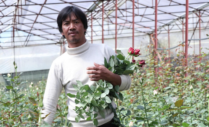 Gia đình anh Cil Ha Vit (39 tuổi, tổ dân phố Đankia, phường Lang Biang - Đà Lạt) thu nhập trên 10 triệu đồng/tháng từ vườn hoa hồng công nghệ cao. Gia đình anh Cil Ha Vit (39 tuổi, tổ dân phố Đankia, phường Lang Biang - Đà Lạt) thu nhập trên 10 triệu đồng/tháng từ vườn hoa hồng công nghệ cao.