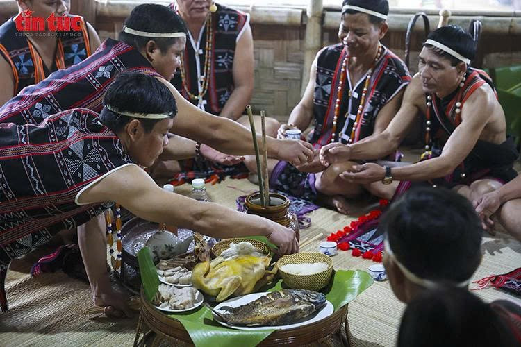 Tái hiện lễ kết nghĩa Cơ Tu: Gìn giữ mạch nguồn đoàn kết giữa đại ngàn