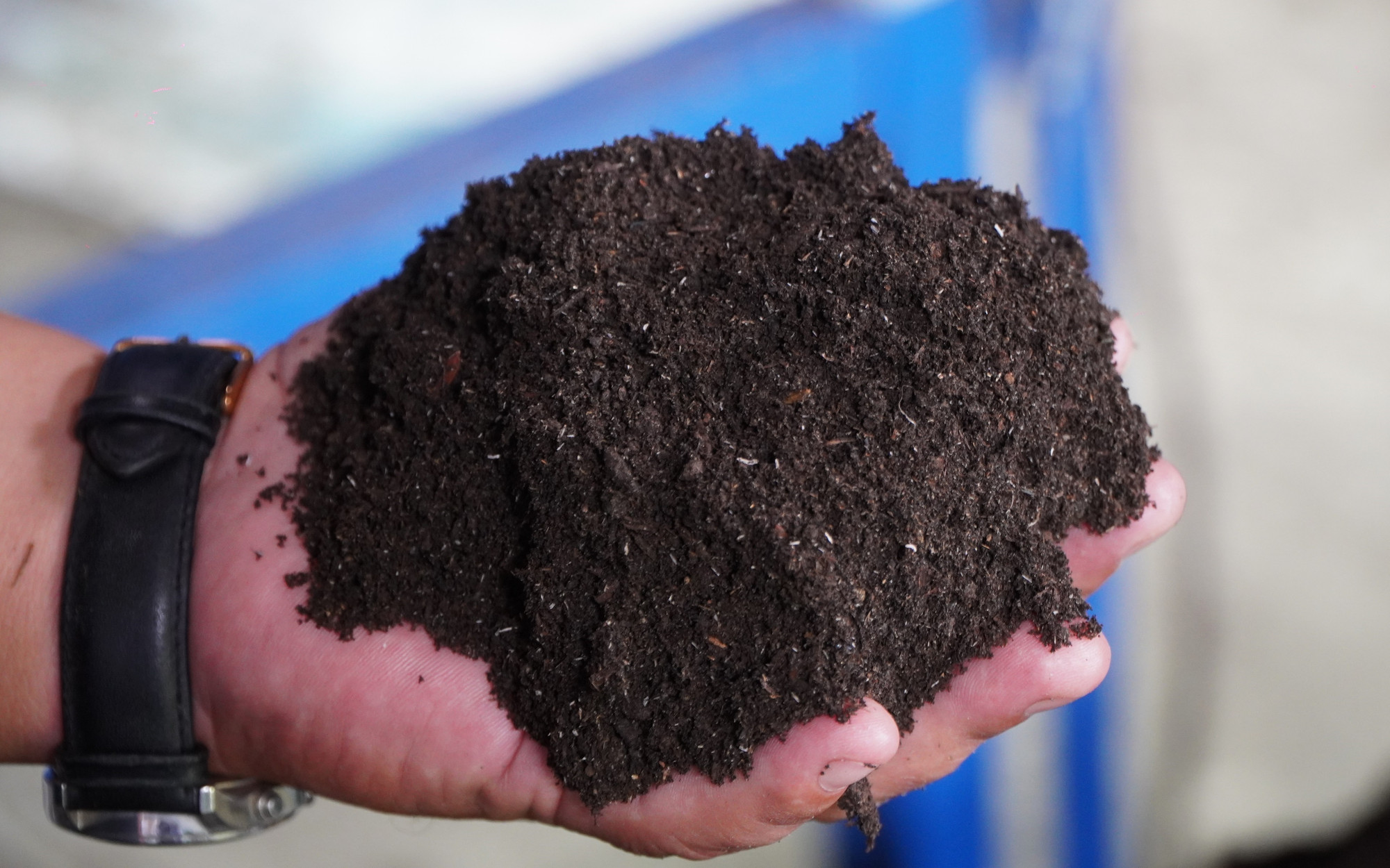 Phân hữu cơ sản xuất từ rơm sau khi ủ nấm.