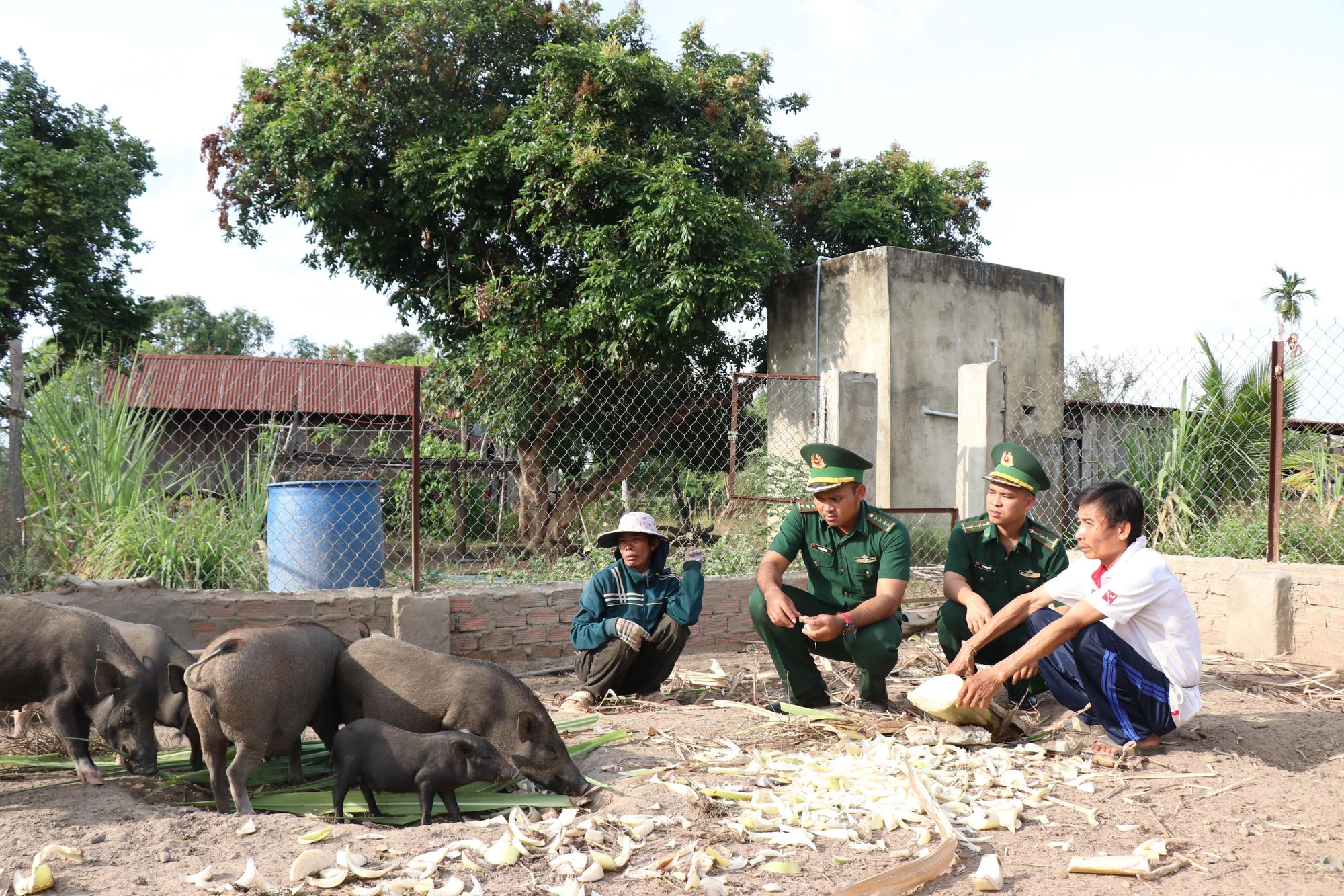 Lực lượng vận động quần chúng, Đồn Biên phòng Sêrêpốk chia sẻ kinh nghiệm nuôi lợn rừng lai cho bà con vùng biên phát triển kinh tế. Lực lượng vận động quần chúng, Đồn Biên phòng Sêrêpốk chia sẻ kinh nghiệm nuôi lợn rừng lai cho bà con vùng biên phát triển kinh tế.