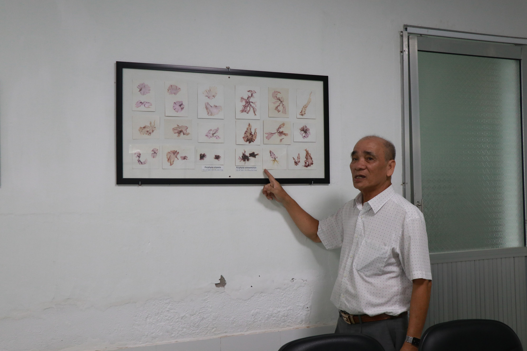 Ông Lê Bền, Giám đốc Công ty Rong Nho Trí Tín, người tiên phong đưa sản phẩm rong nho Việt ra thị trường quốc tế.